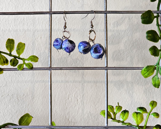 Double blueberry earrings