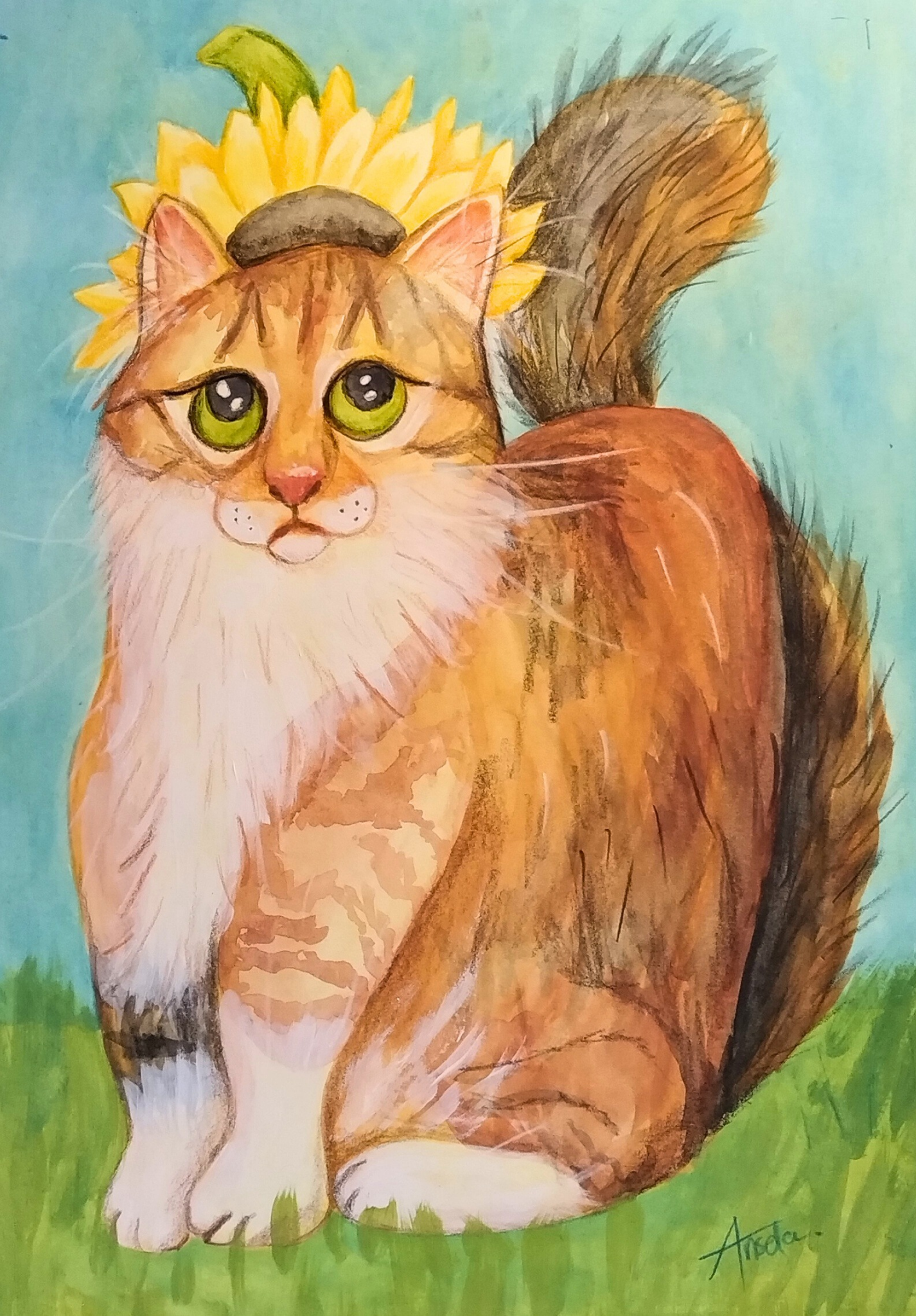 Pet Portrait